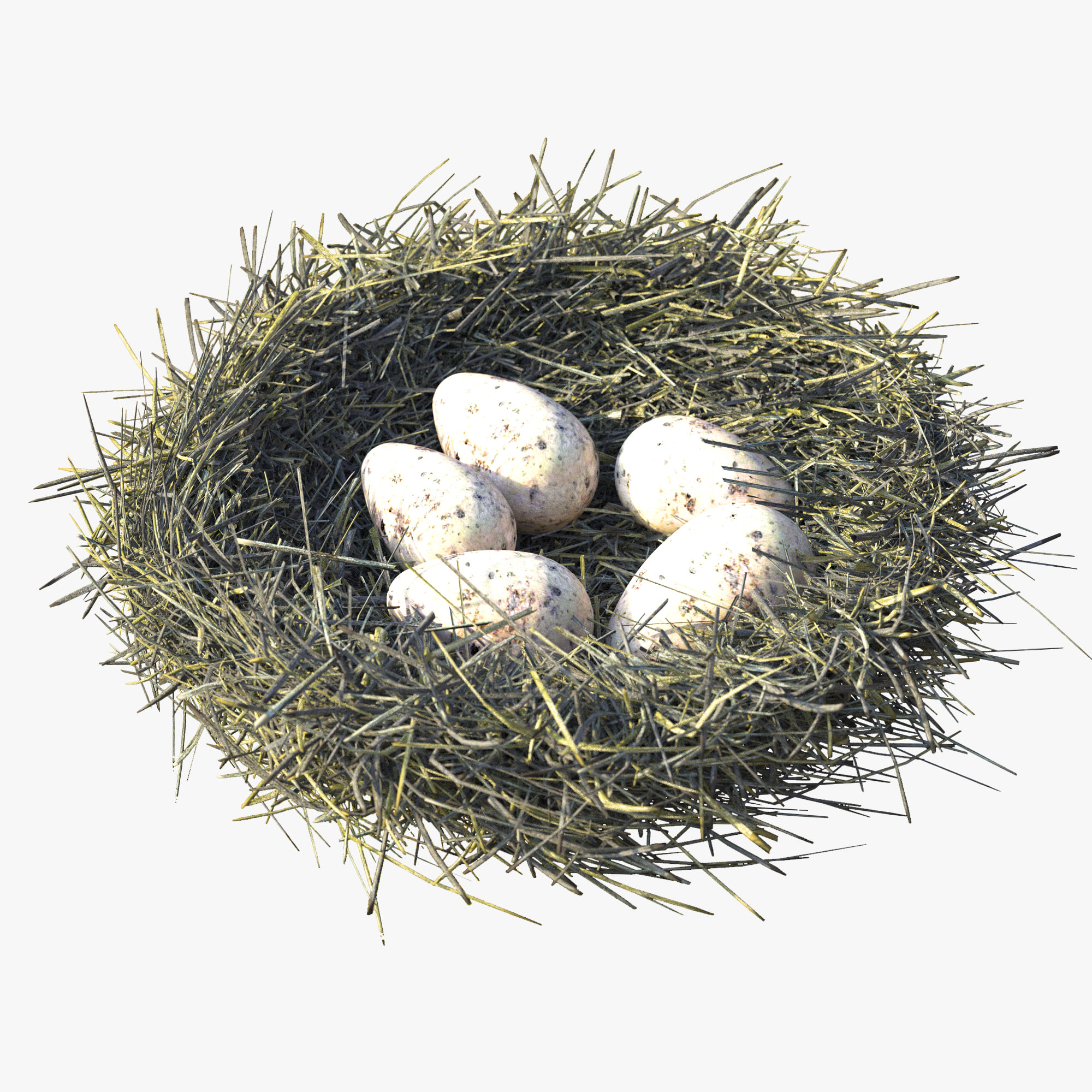 3D model Bird Nest 3D Model