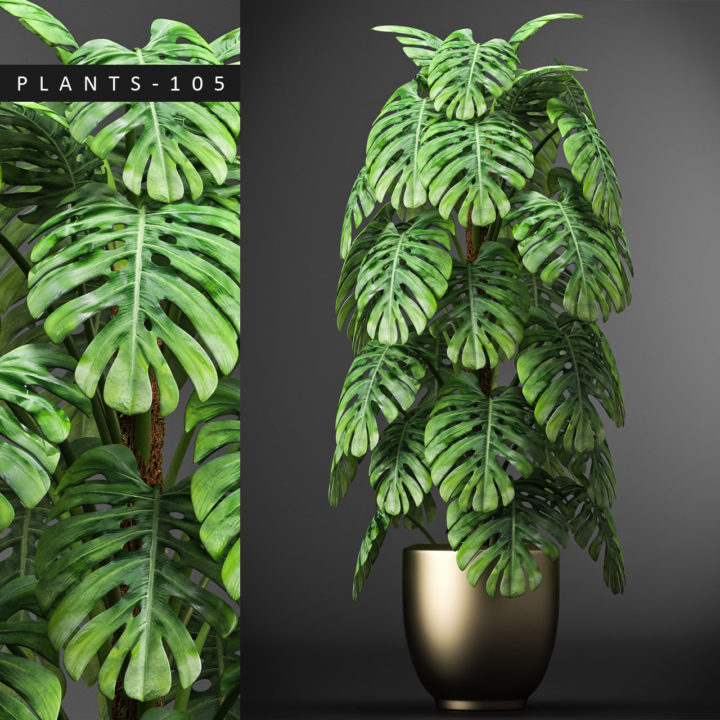 plants 105 model 3D Model