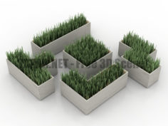 Grass pots garden decor 3D Collection