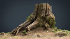 Tree Stump 4 3D Model