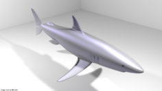 Shark – Mako 3D Model