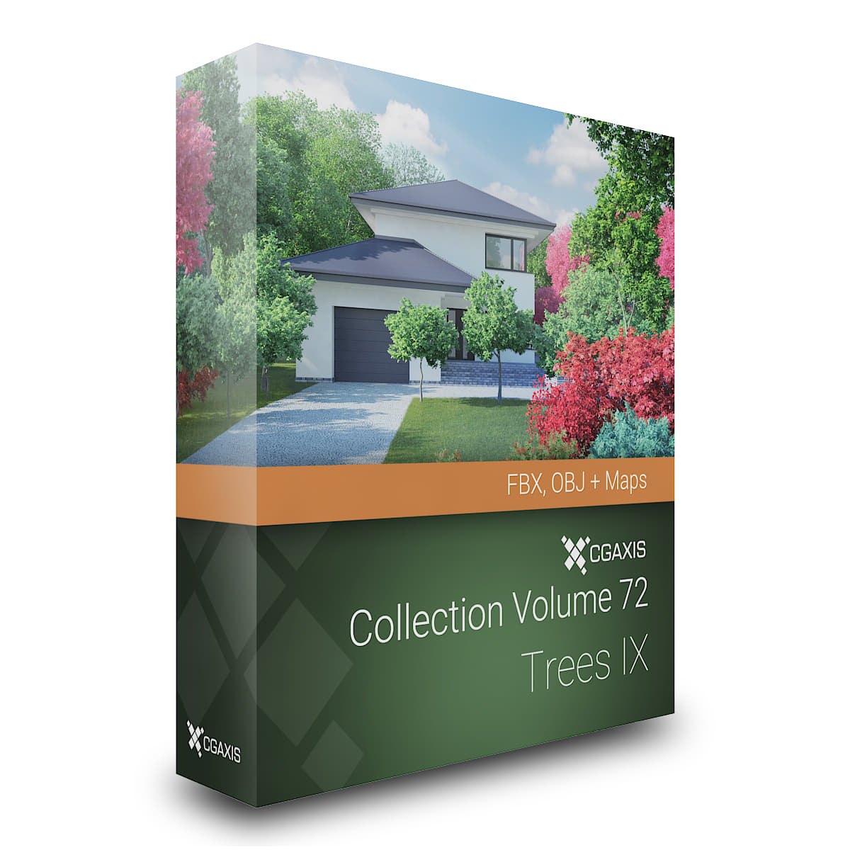 CGAxis Models Volume 72 Trees IX FBX OBJ 3D Model