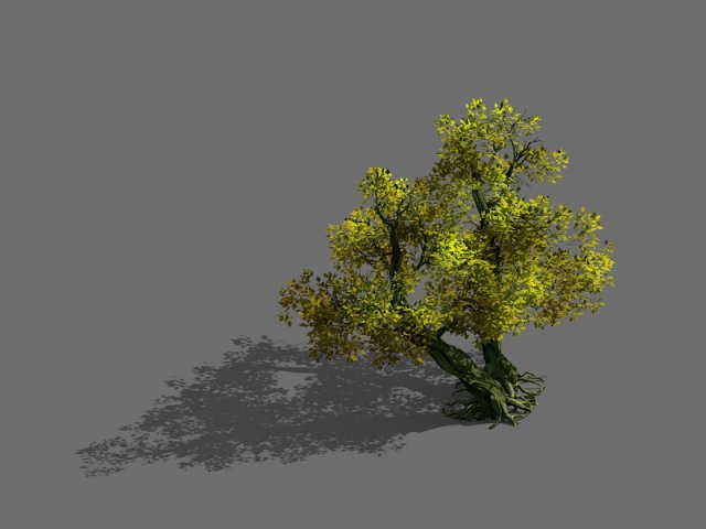 Game Model – Forest – Tree 20 3D Model