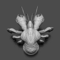 Coconut Crab 3d Print 3D Model