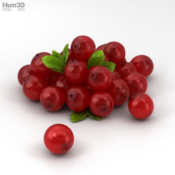 Cranberry 3D Model