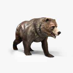 Grizzly Bear Low poly 3D Model