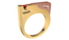 Bicolor ring with gem 3D Model
