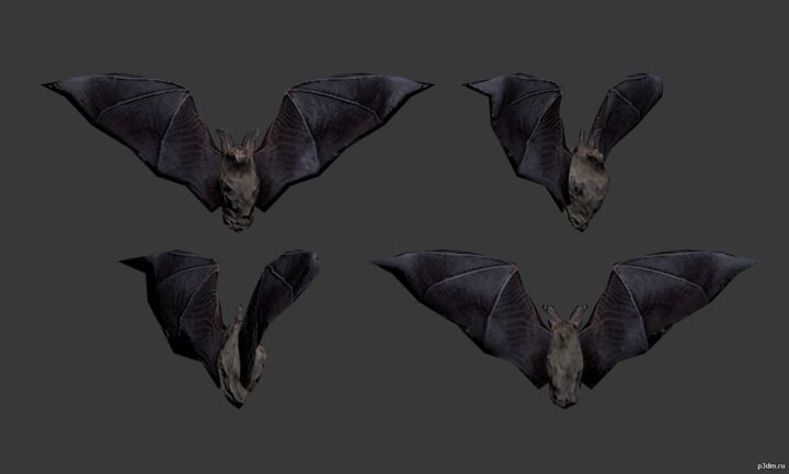 Bat 3D Model