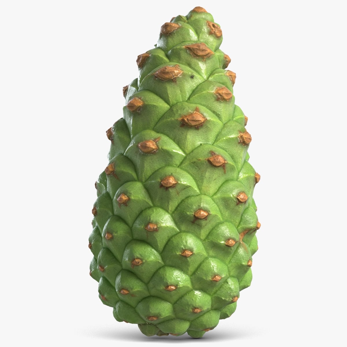 Fir Cone Green 3D Model