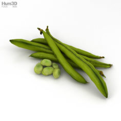 Green Bean 3D Model