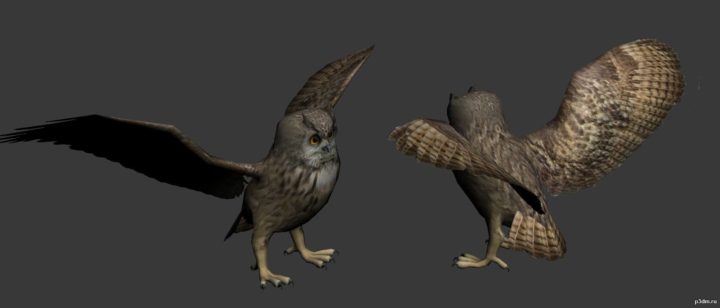 Great horned 3D Model