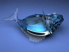 Glass fish Free 3D Model