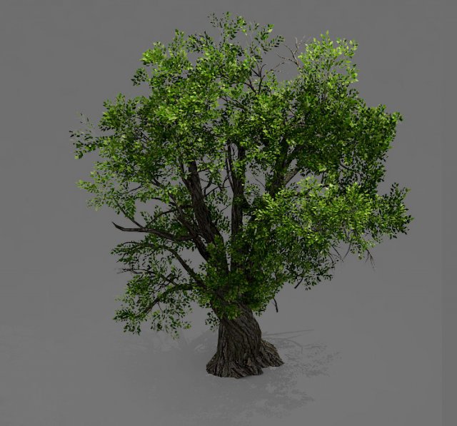 Game Model – Forest – Tree 04 3D Model