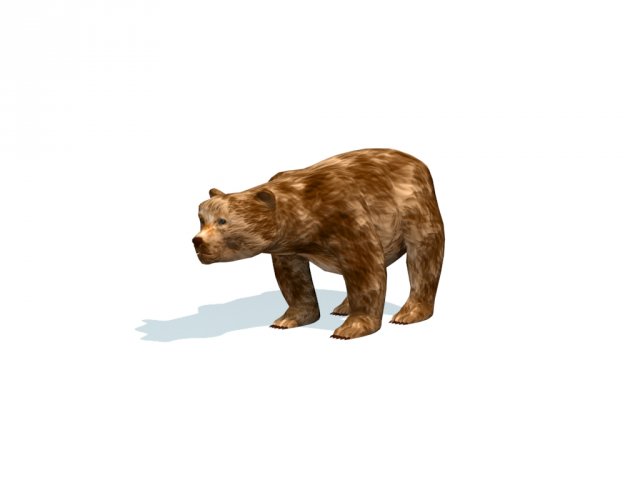 Bear Free 3D Model