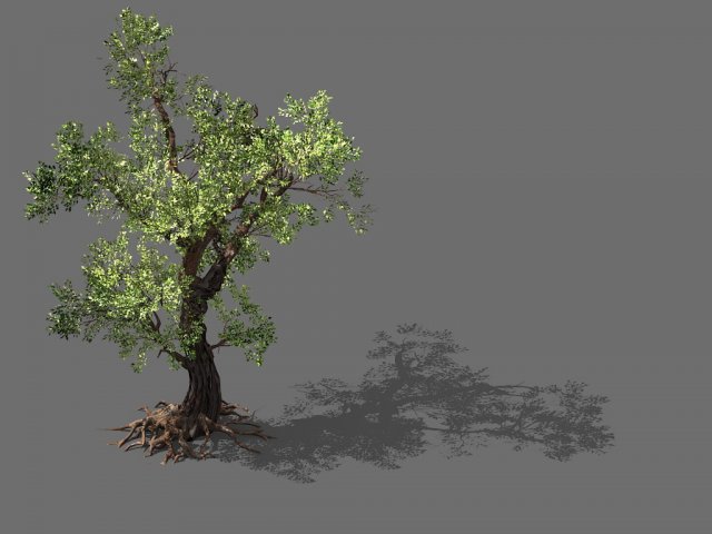 Game Models – Forest – Trees 02 3D Model