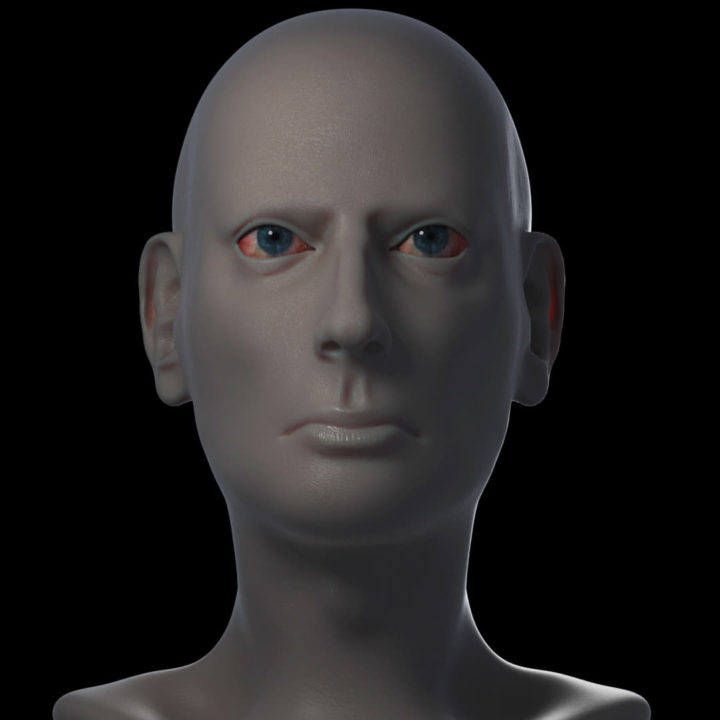 Male Head Base Model 3D Model