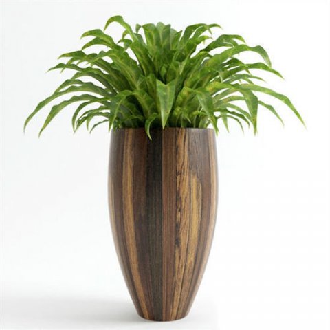 Plant Decoration Free 3D Model