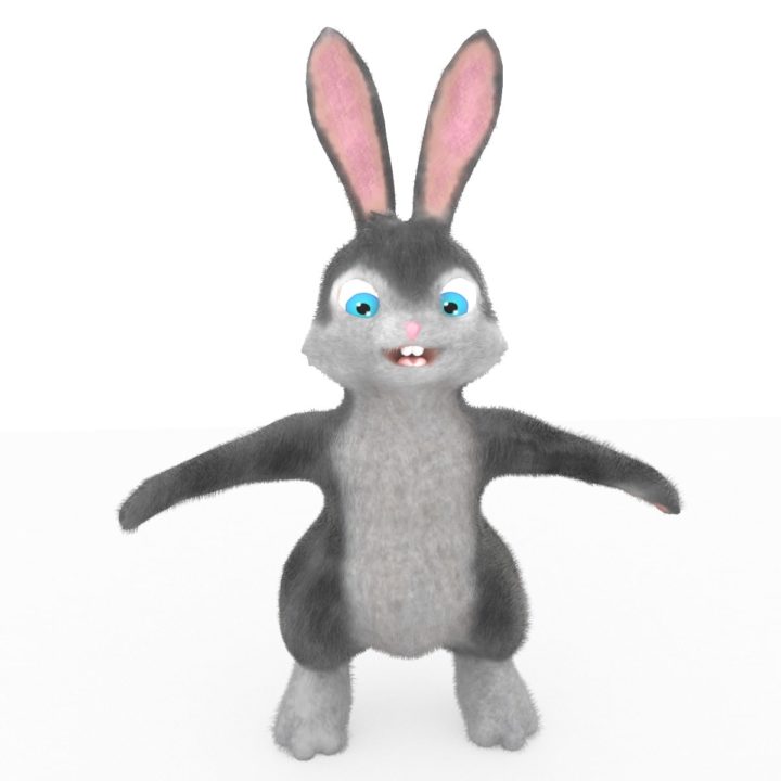 Cartoon Bunny 3D Model 