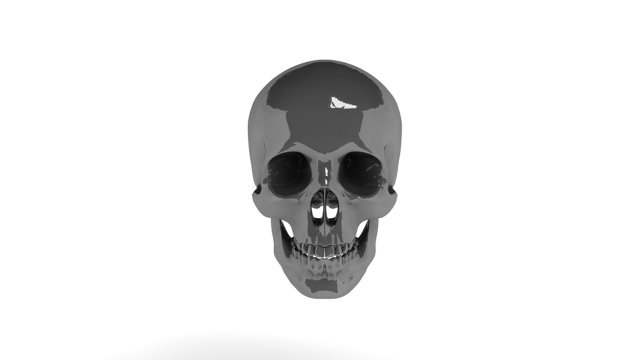 HEAD SKULL C4D 3D Model