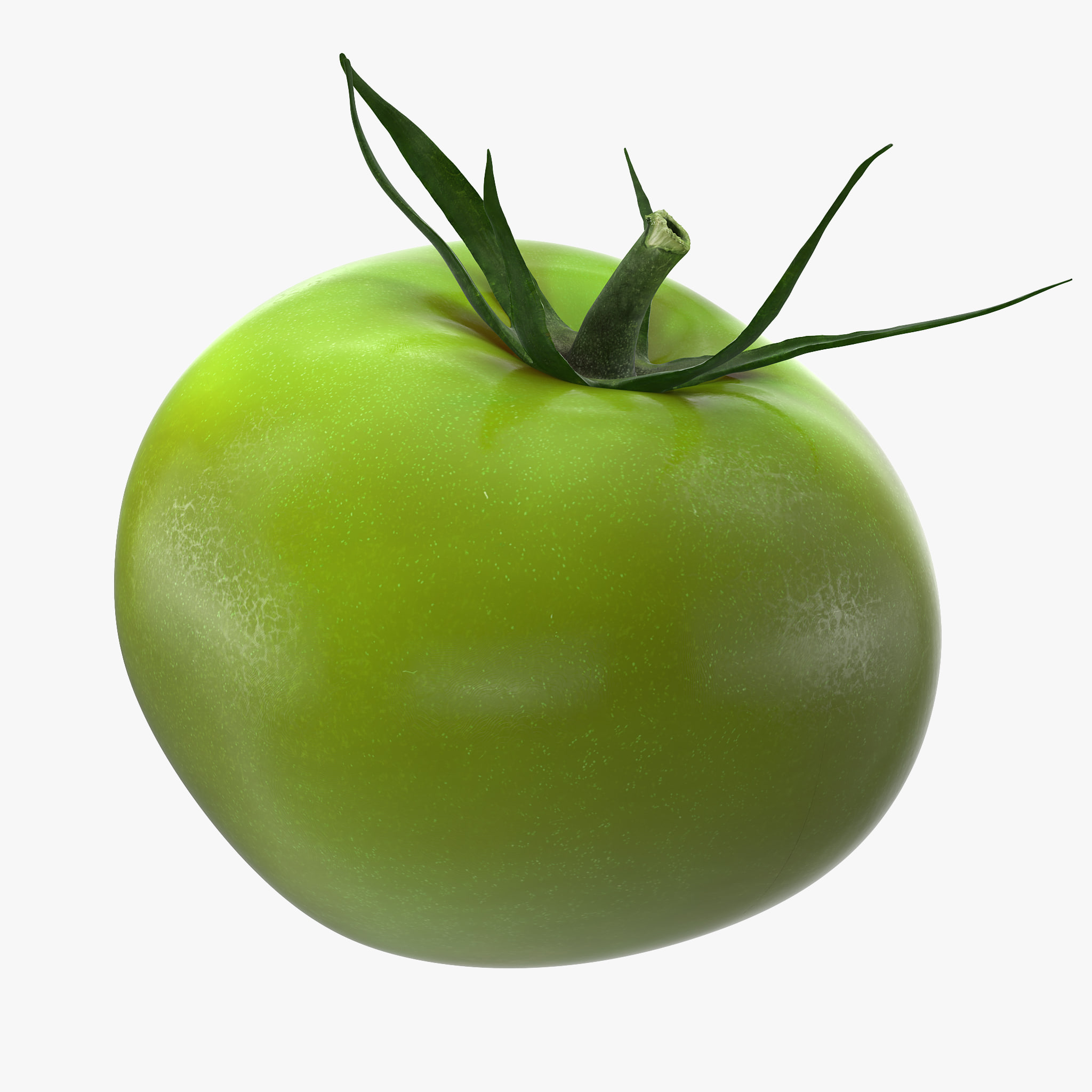 Green Tomato 3D Model - 3DHunt.co