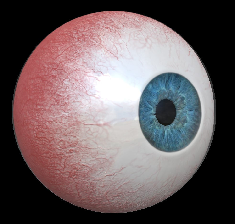 Photorealistic Human Eye_5 colors 3D Model