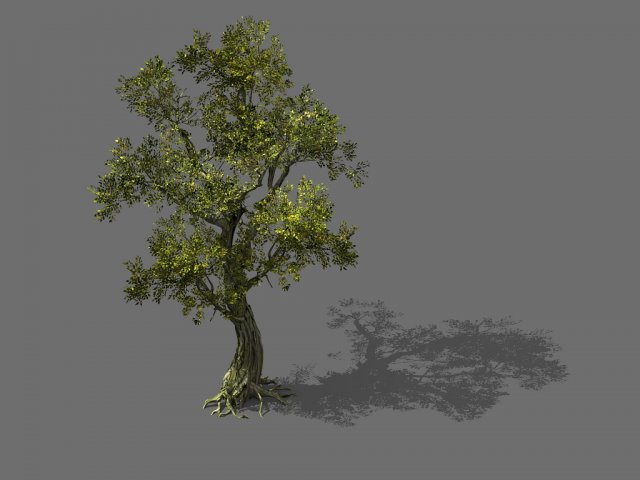 Game Model – Forest – Tree 01 3D Model