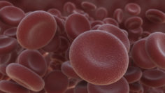 Red Blood Cell Ultra Realistic 3D Model