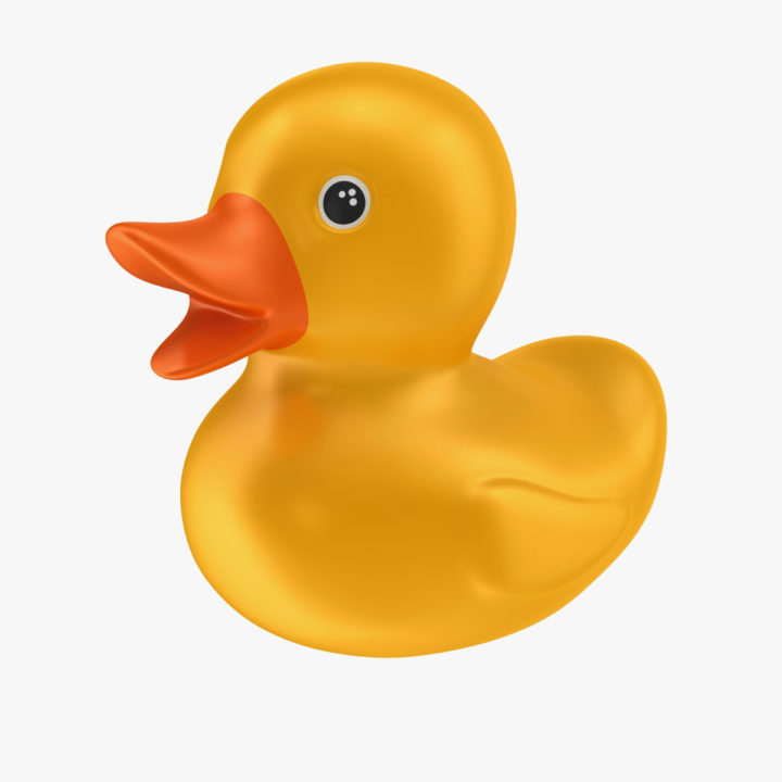 Rubber Duck 3D Model