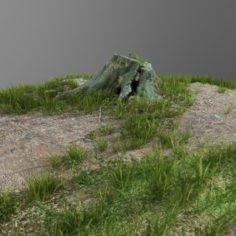 3d scanned tree stump and gras 3 3D Model