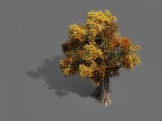 Game Models – Forest – Trees 08 3D Model