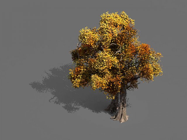 Game Models – Forest – Trees 08 3D Model