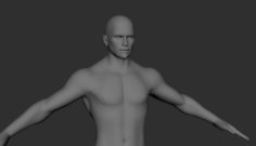 Realistic 3D human 3D Model