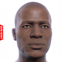 Average Black Male Head 3D Model
