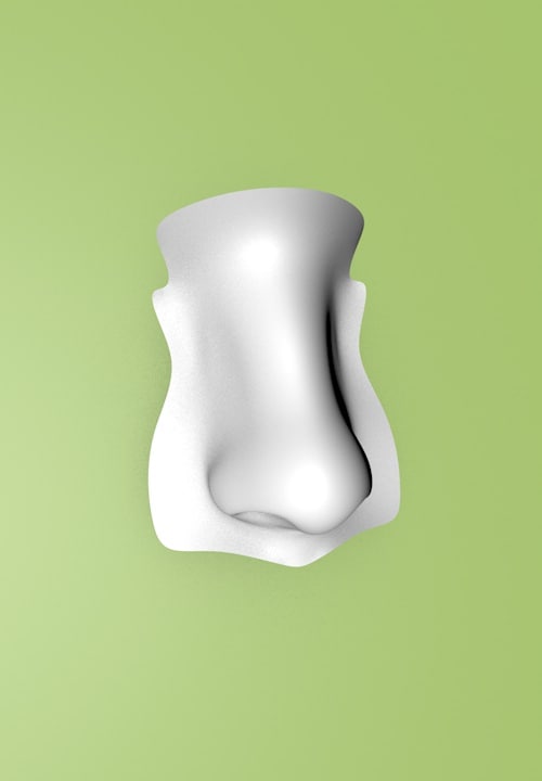 Nose 3D model 3D Model