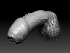 A relaxed penis 2 3D Model