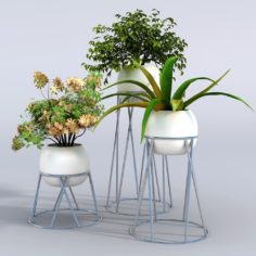 3D Plant 3D Model