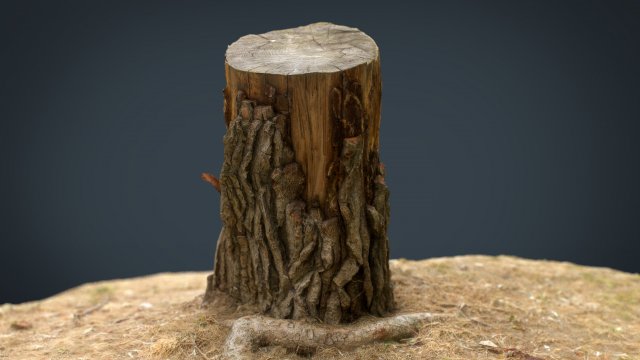Tree Stump 3 3D Model
