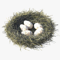 Bird Nest 3D Model