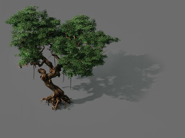 Game Models – Forest – Trees 09 3D Model