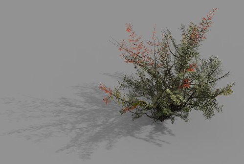 Game Model – Forest – Weed 3D Model