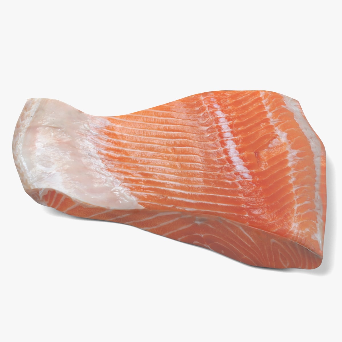 Salmon Fillet 3D Model