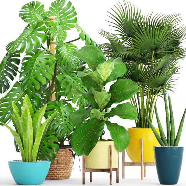 Collection plants 3D Model