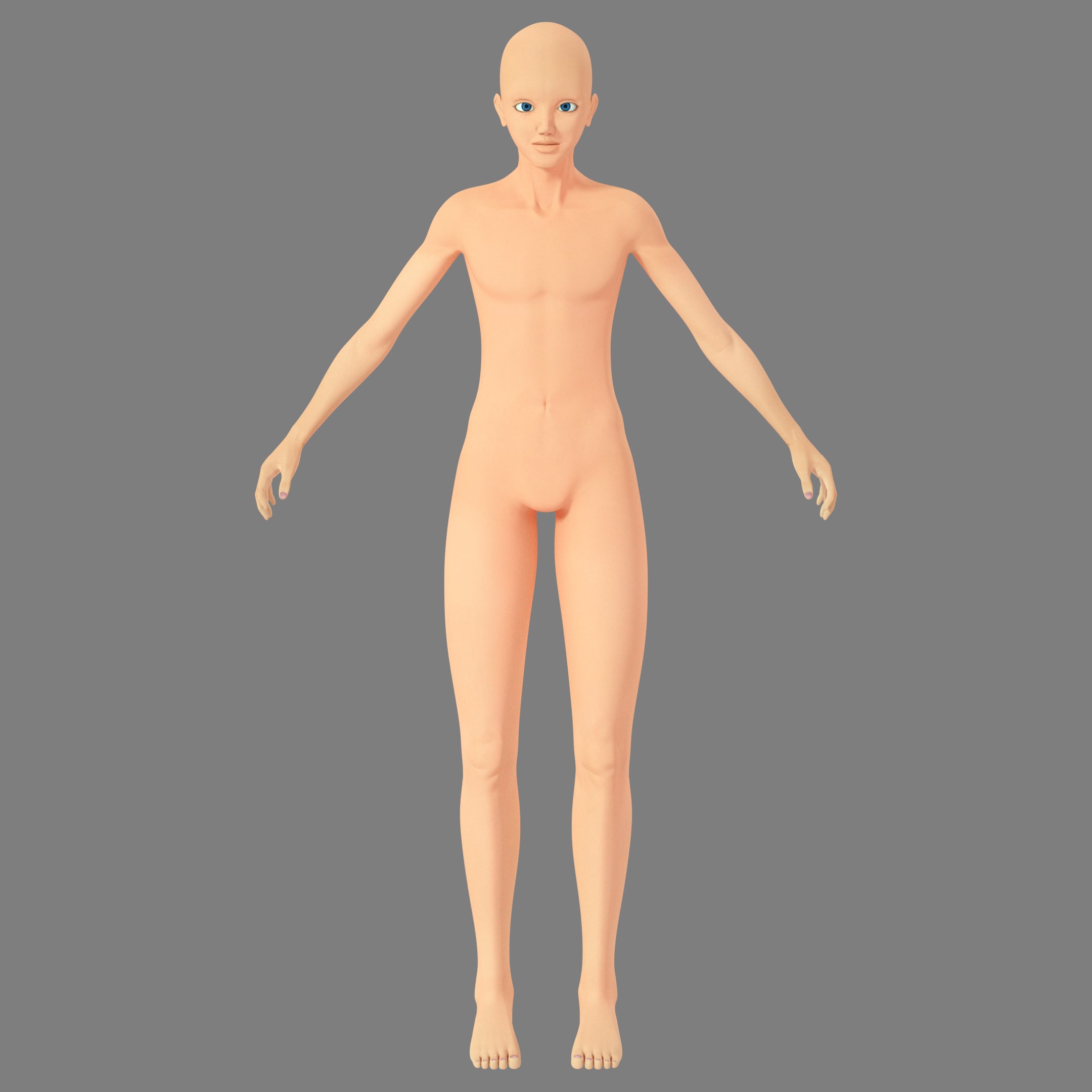 Human Base Mesh Rigged 3D Model