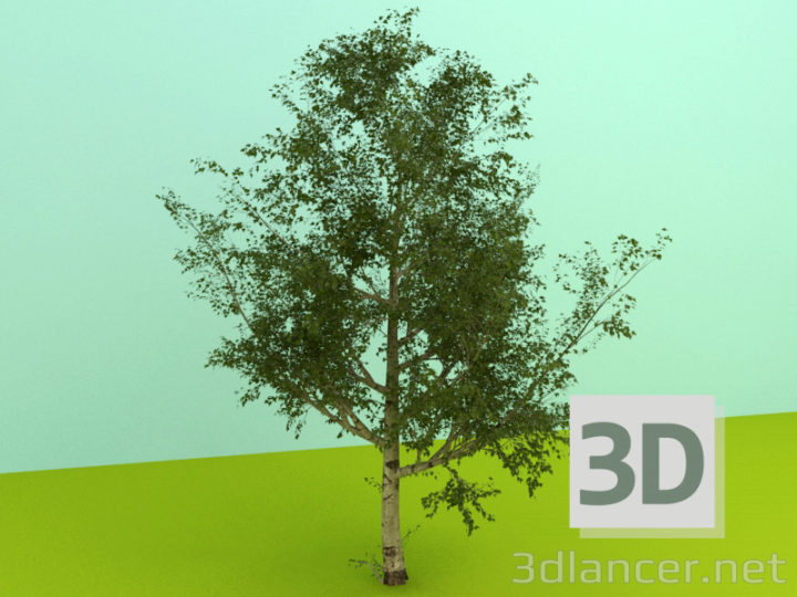 3D-Model 
Plants