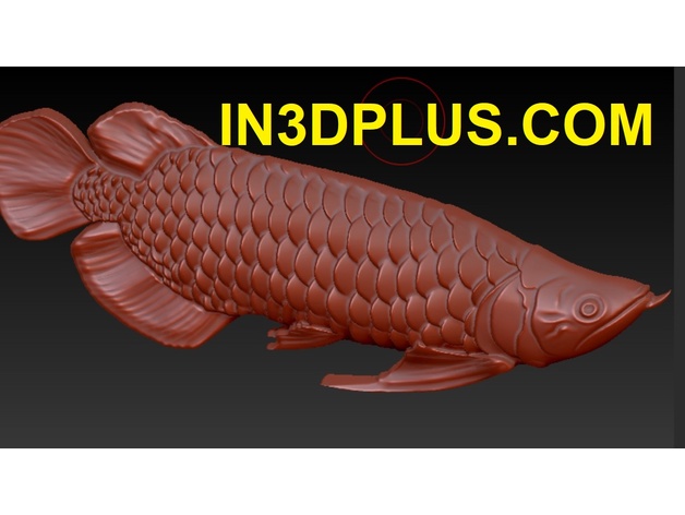 Dragon Fish 3D Model 3D Print Model