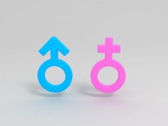 3D Gender symbols model 3D Model