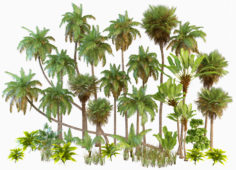 Palm trees/Tropical 3D model 3D Model