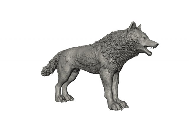 Wolf High poly 3D Model