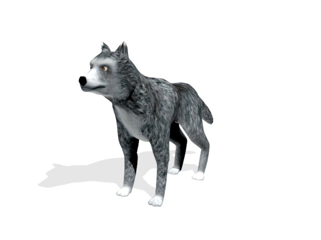 Wolf Free 3D Model