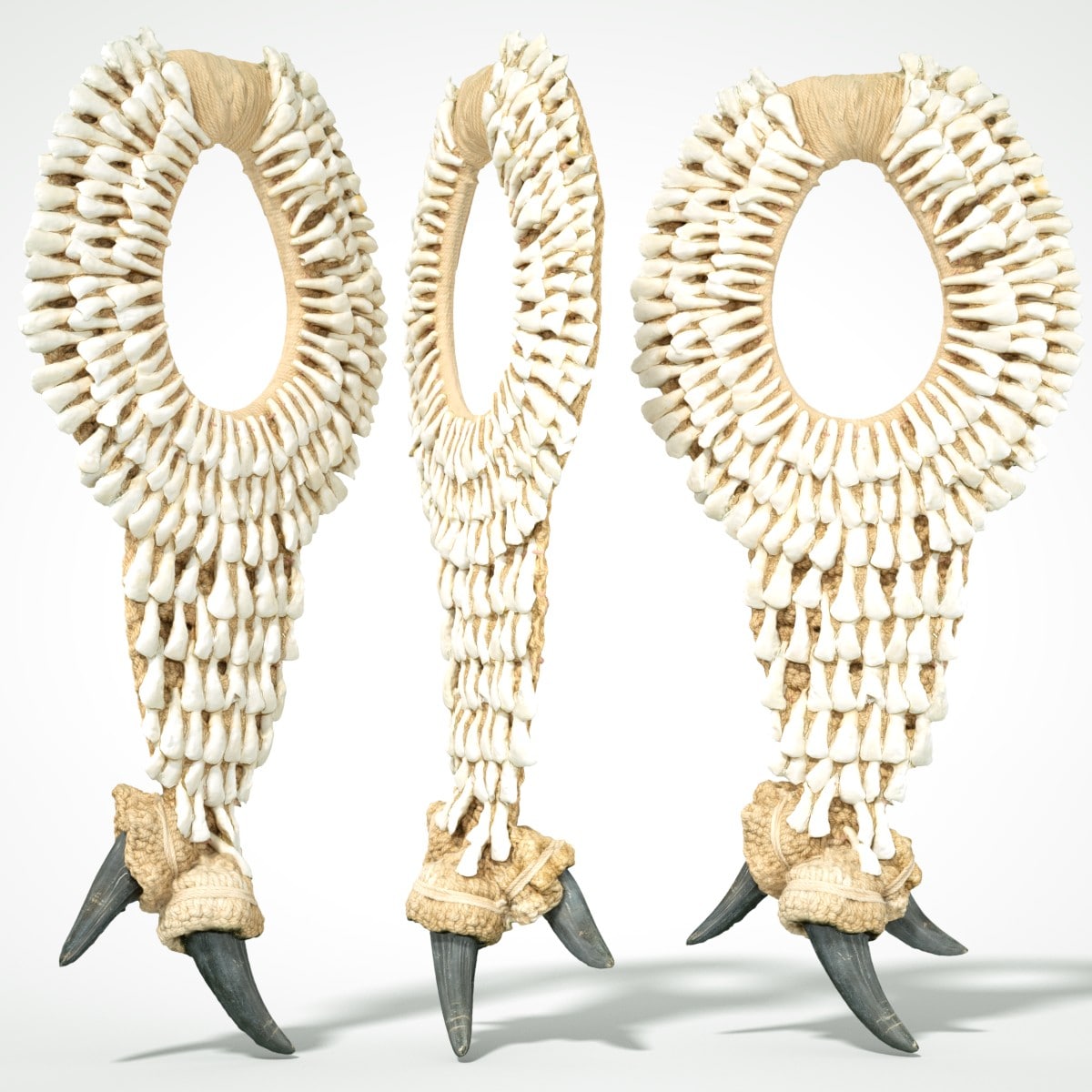 Tooth Necklace 3D Model